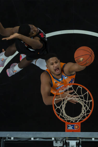 因此开出了 因此开出了